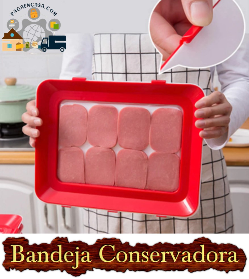 Bandejas  Conservadoras